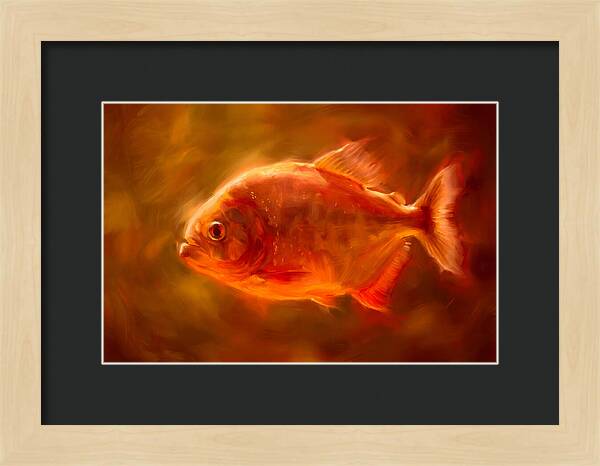 Piranha In Motion