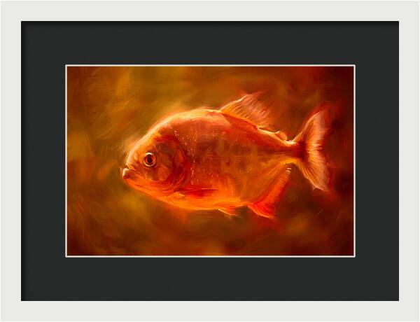 Piranha In Motion