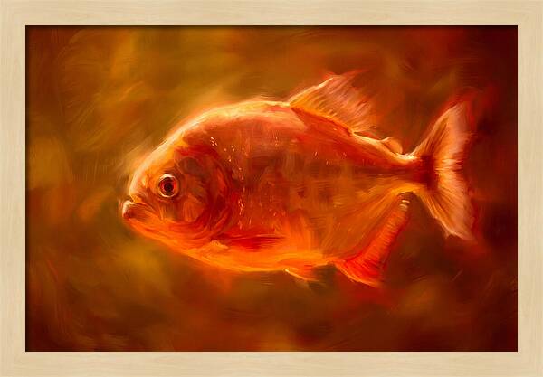 Piranha In Motion