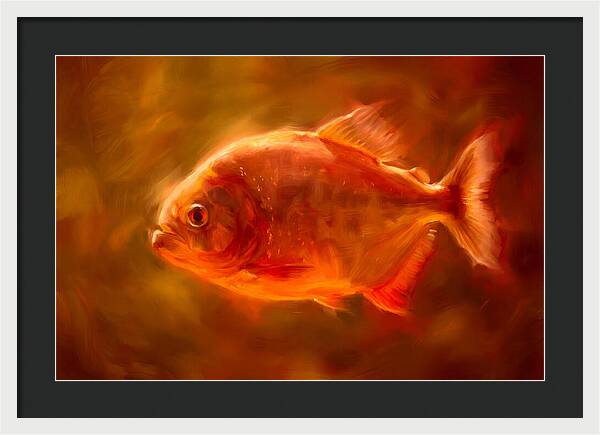 Piranha In Motion
