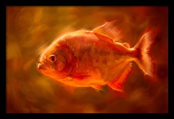 Piranha In Motion