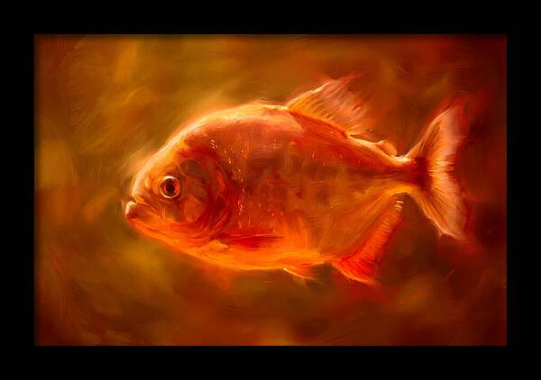Piranha In Motion