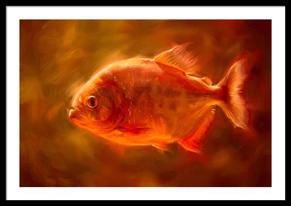 Piranha In Motion