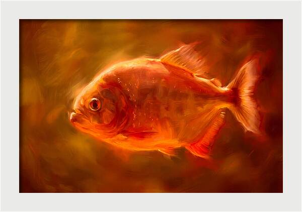Piranha In Motion