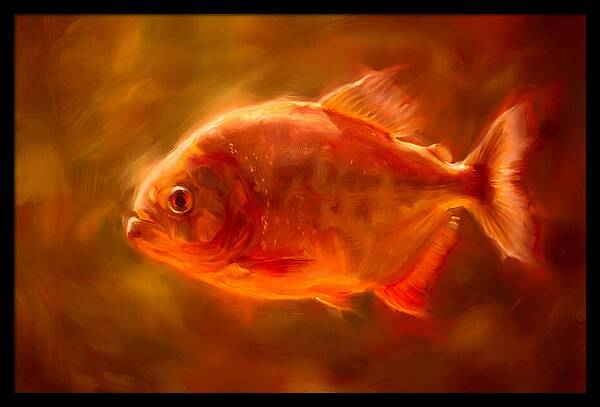Piranha In Motion