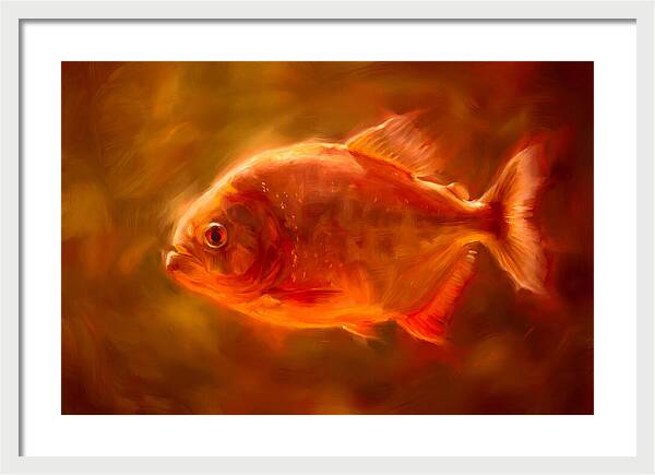 Piranha In Motion
