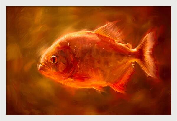 Piranha In Motion