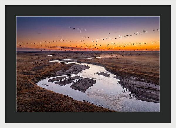 Platte River At Sunset Migration