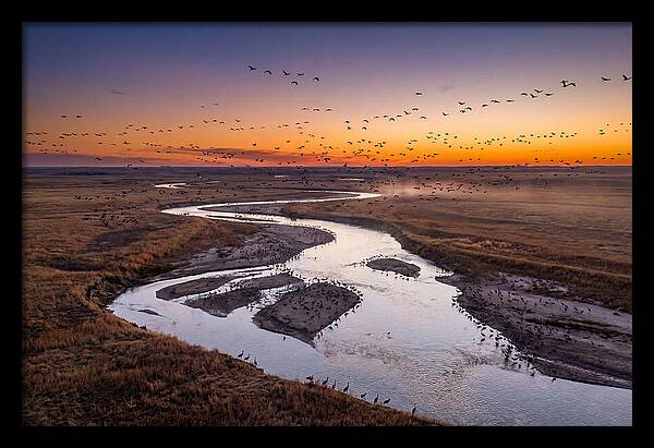 Platte River At Sunset Migration