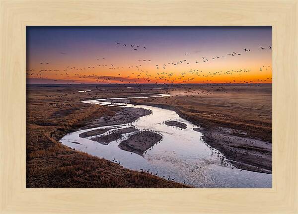 Platte River At Sunset Migration