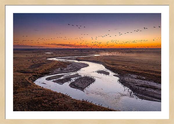 Platte River At Sunset Migration