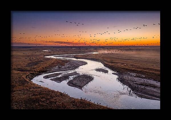 Platte River At Sunset Migration