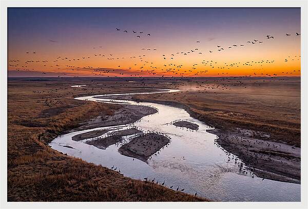 Platte River At Sunset Migration