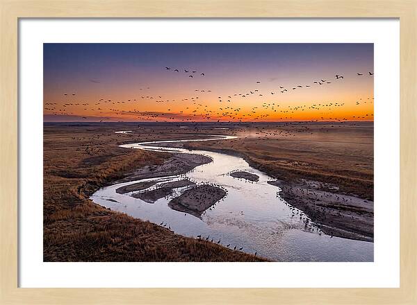 Platte River At Sunset Migration