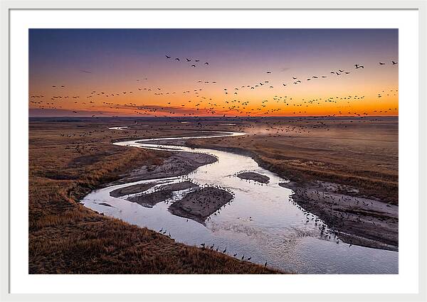 Platte River At Sunset Migration