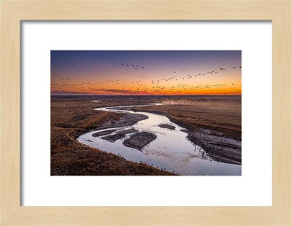 Platte River At Sunset Migration