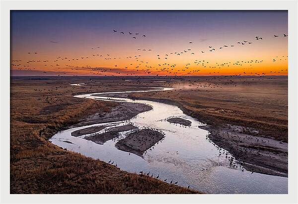 Platte River At Sunset Migration