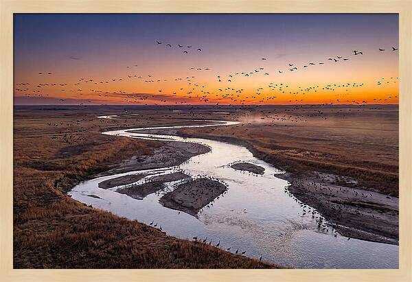 Platte River At Sunset Migration