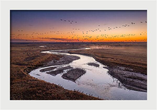 Platte River At Sunset Migration