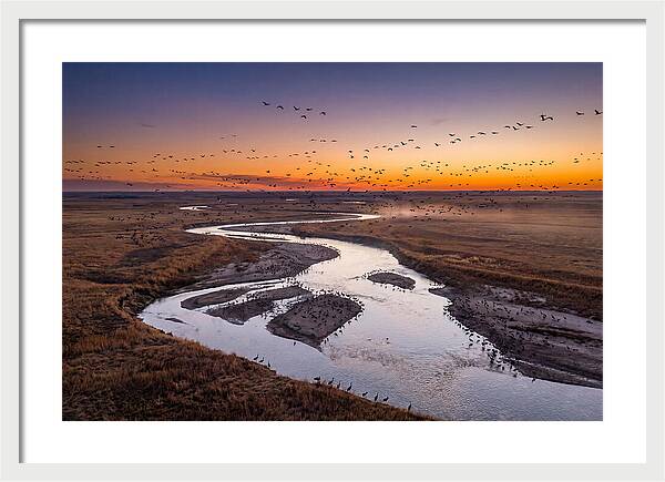 Platte River At Sunset Migration