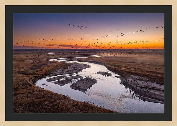 Platte River At Sunset Migration