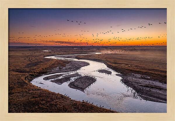 Platte River At Sunset Migration