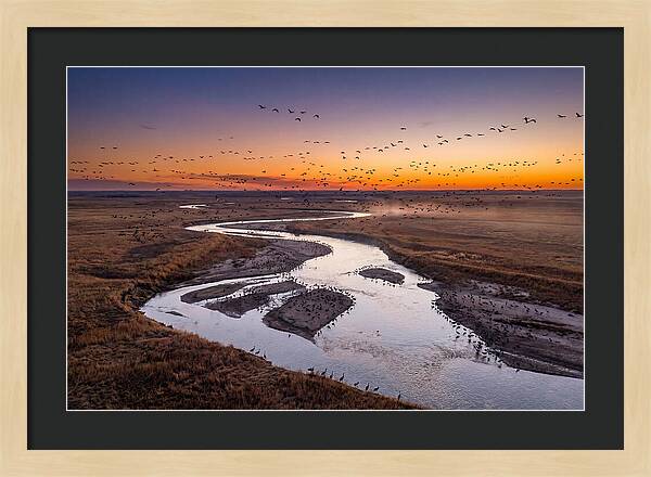 Platte River At Sunset Migration