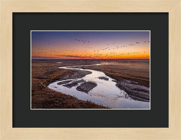 Platte River At Sunset Migration