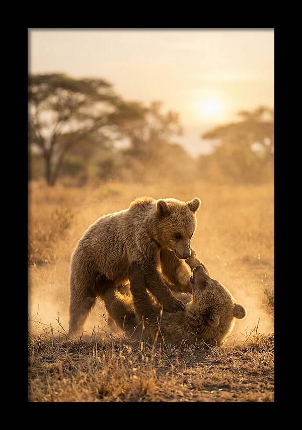 Playful Cubs In The Serengeti