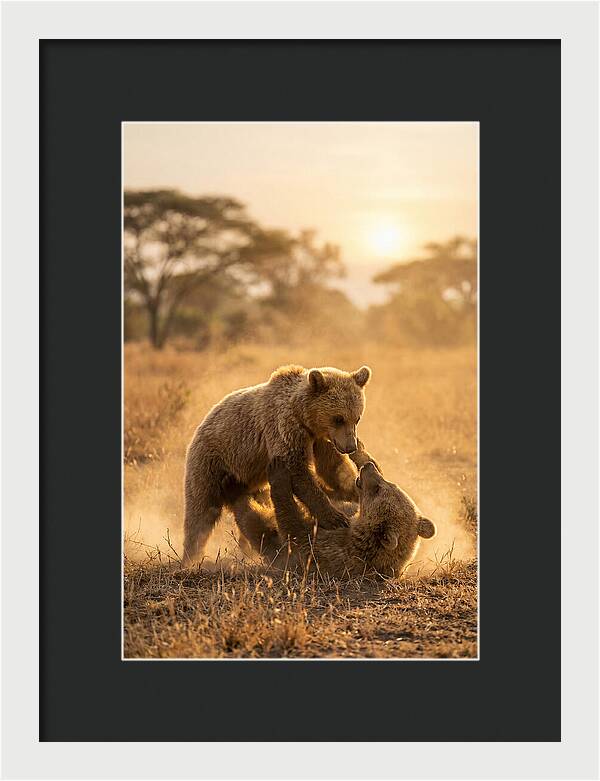 Playful Cubs In The Serengeti