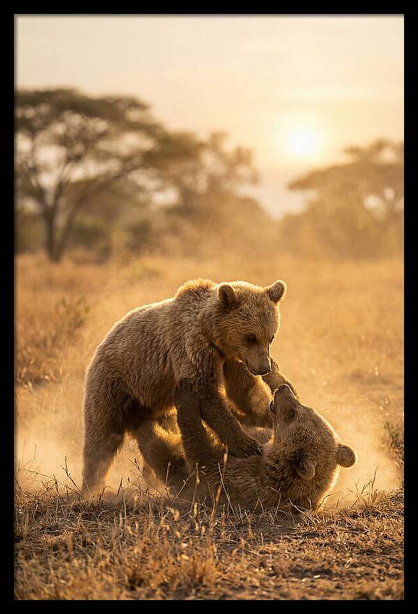 Playful Cubs In The Serengeti