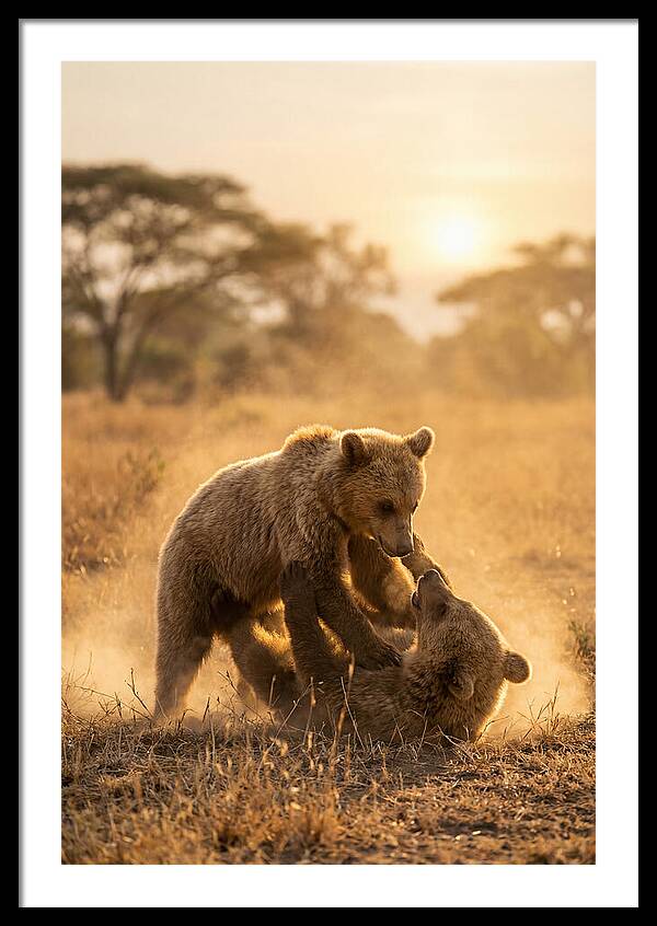 Playful Cubs In The Serengeti
