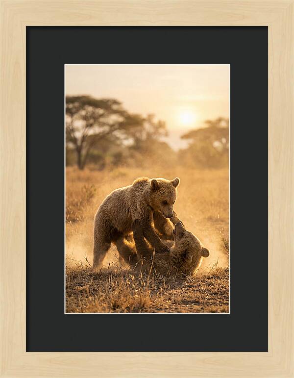 Playful Cubs In The Serengeti