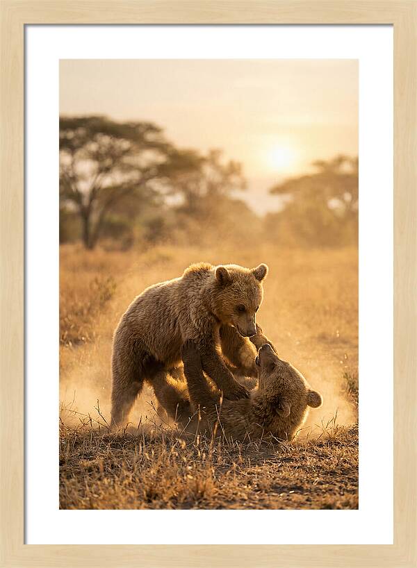 Playful Cubs In The Serengeti