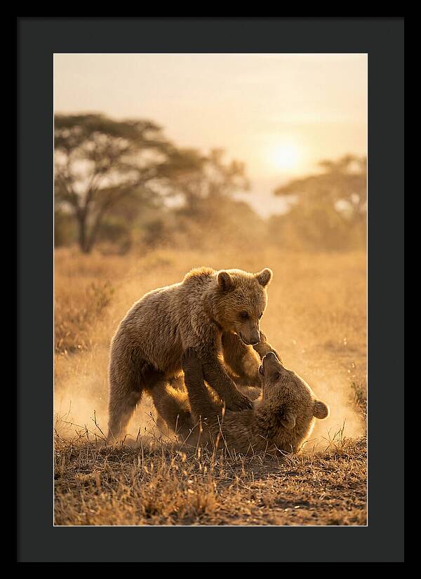 Playful Cubs In The Serengeti