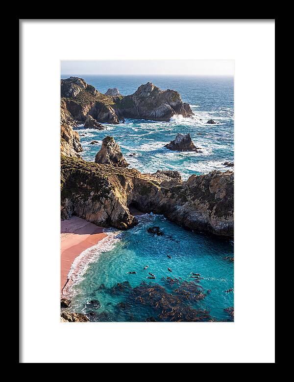 Point Lobos Coastal Serenity