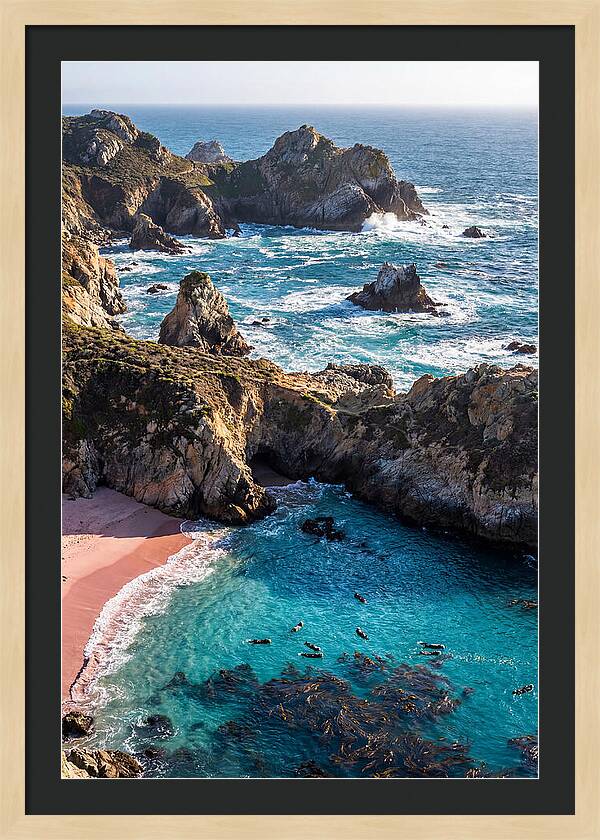 Point Lobos Coastal Serenity