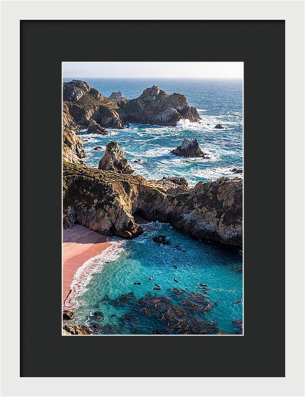 Point Lobos Coastal Serenity