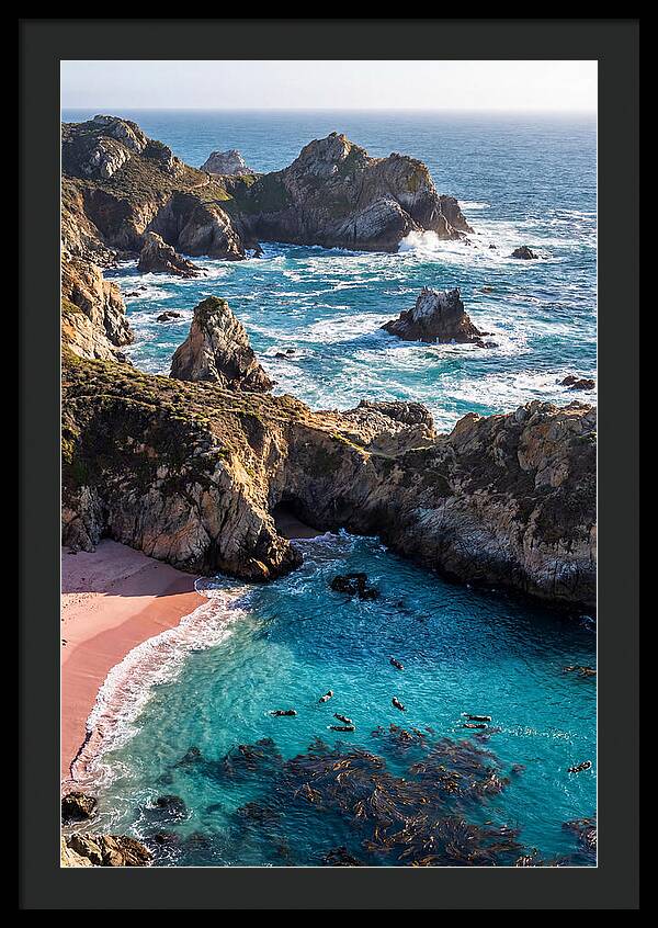 Point Lobos Coastal Serenity