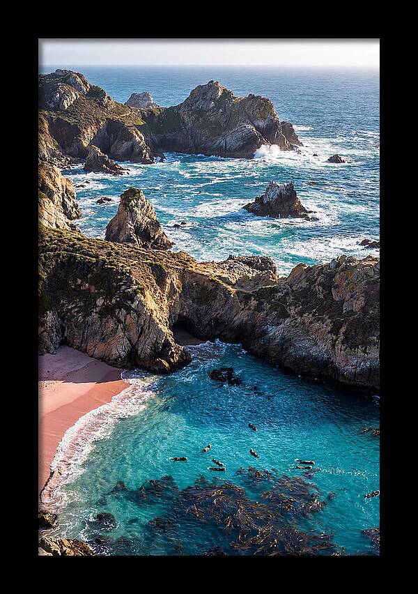 Point Lobos Coastal Serenity