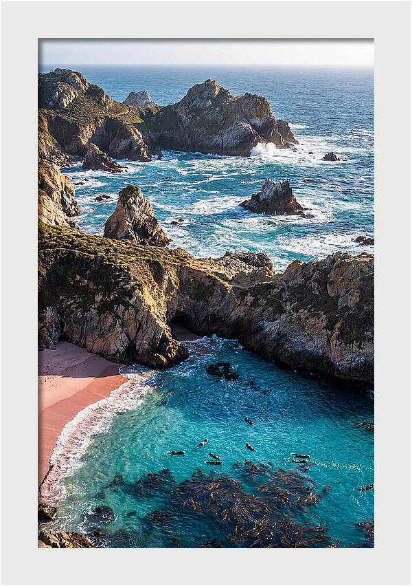 Point Lobos Coastal Serenity