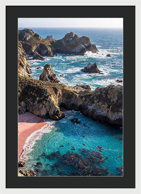 Point Lobos Coastal Serenity