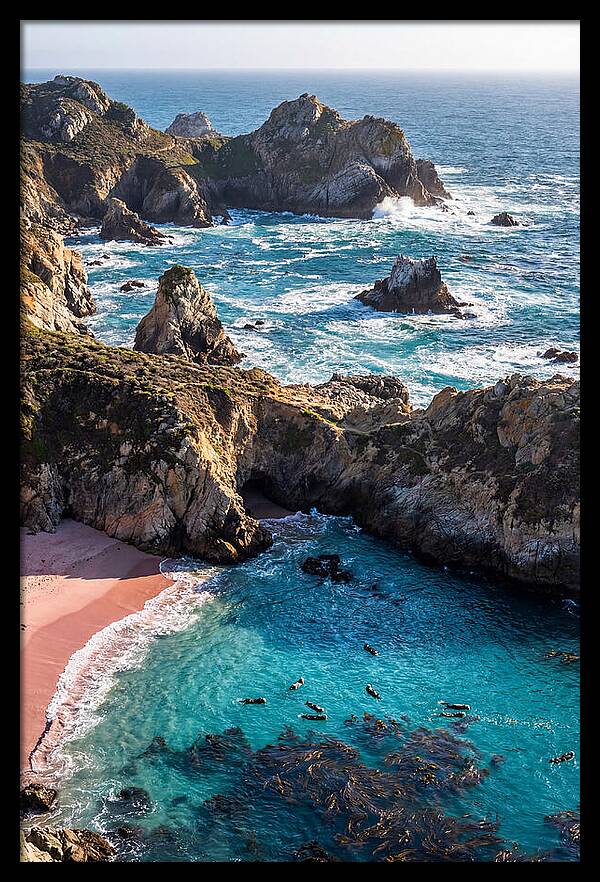 Point Lobos Coastal Serenity