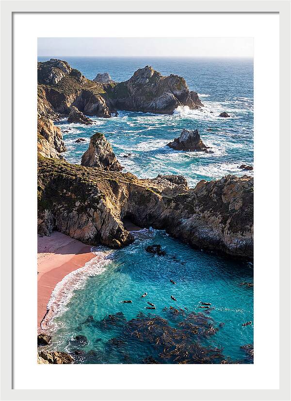 Point Lobos Coastal Serenity