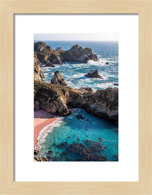 Point Lobos Coastal Serenity