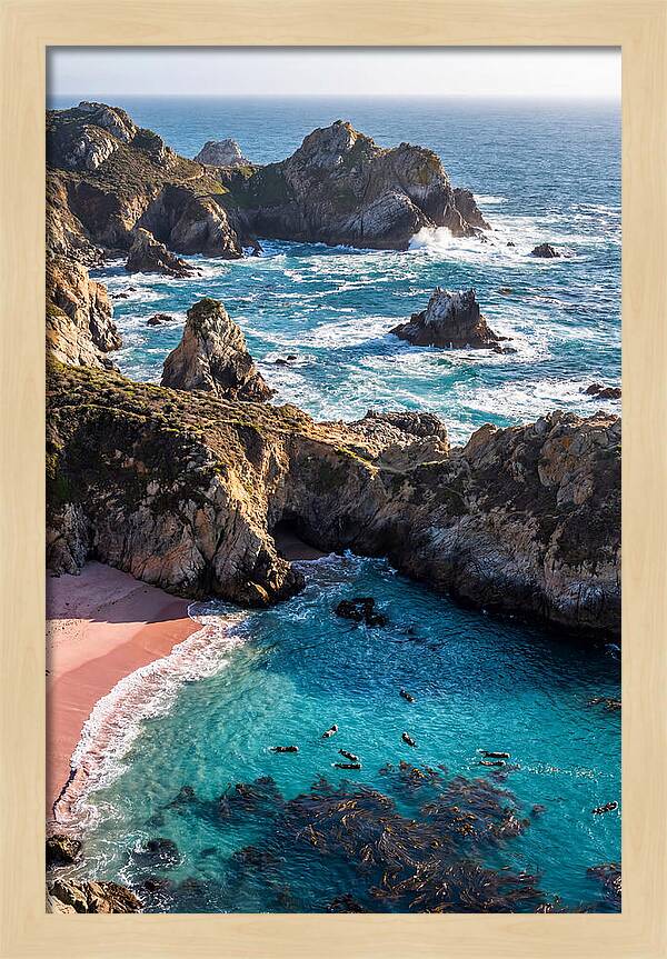Point Lobos Coastal Serenity