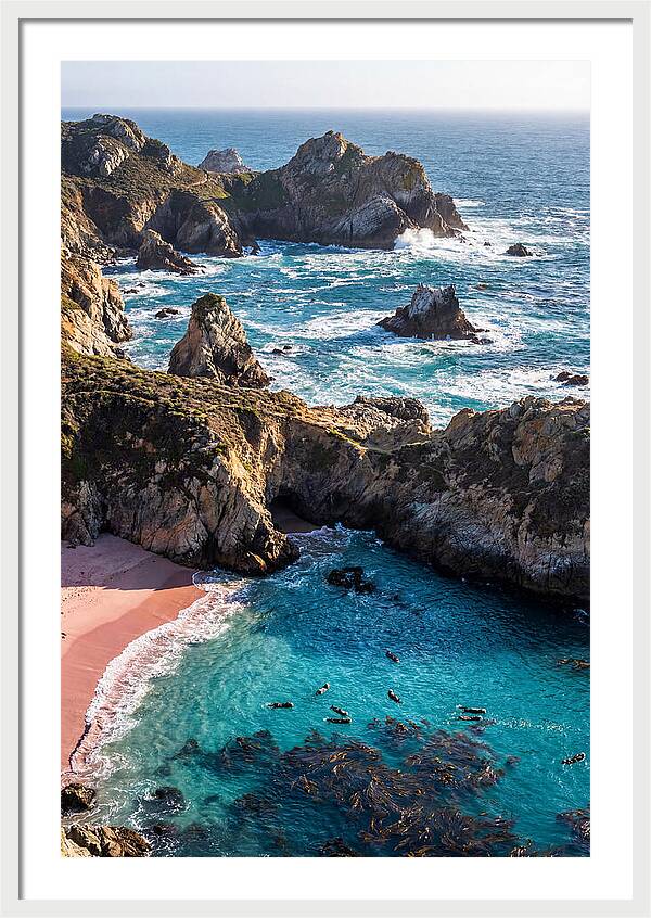 Point Lobos Coastal Serenity