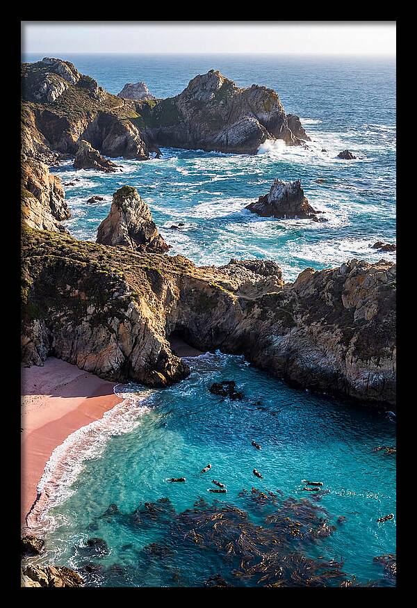 Point Lobos Coastal Serenity