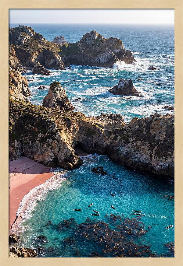 Point Lobos Coastal Serenity