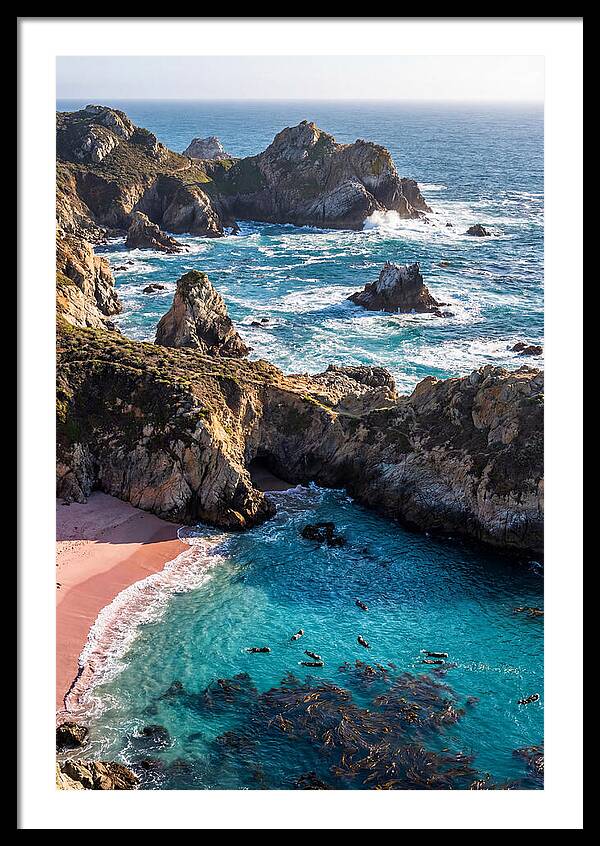 Point Lobos Coastal Serenity
